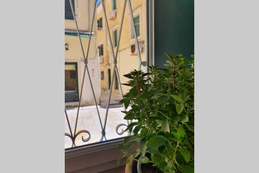 Elia Luxury Suite, Corfu Town Екстериор снимка